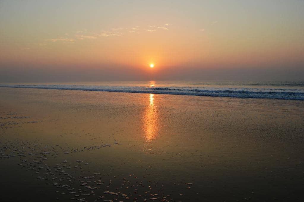 Fresh Seafood Galore