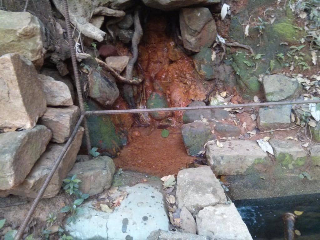 Seshachalam Hills Trek