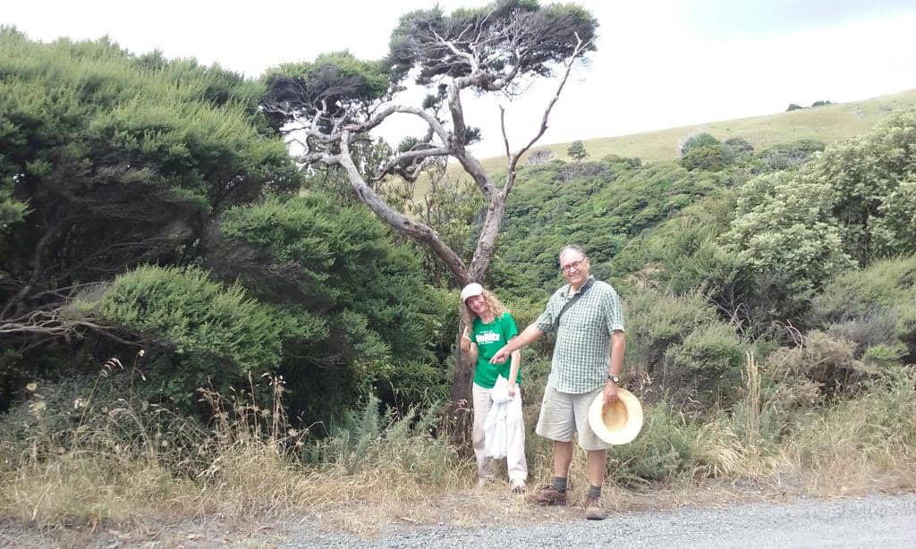 Coastal Hiking Trails