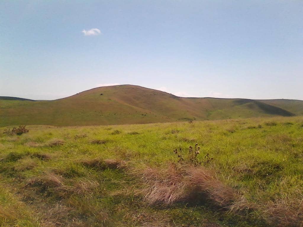 World War II Bunkers