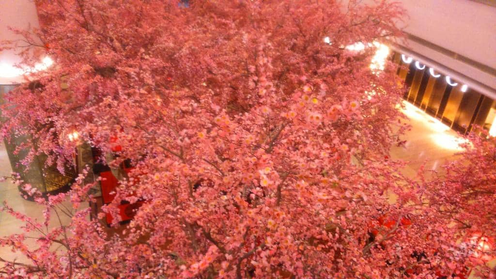 Luxury Brand Boutiques