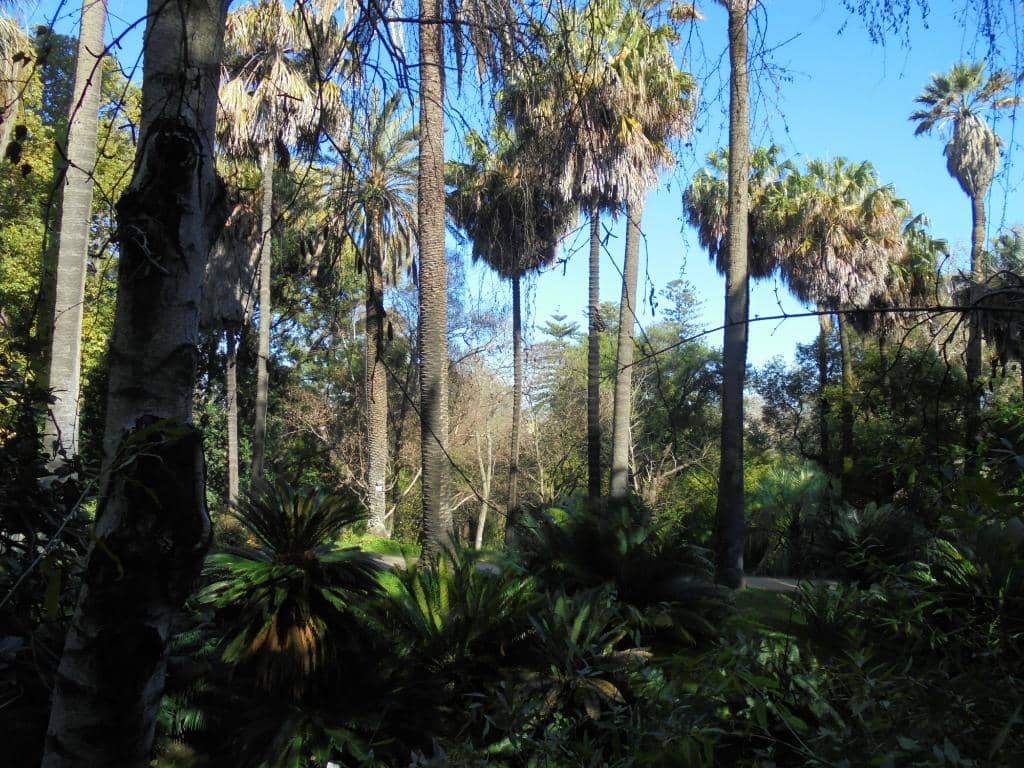 Diverse Plant Collections