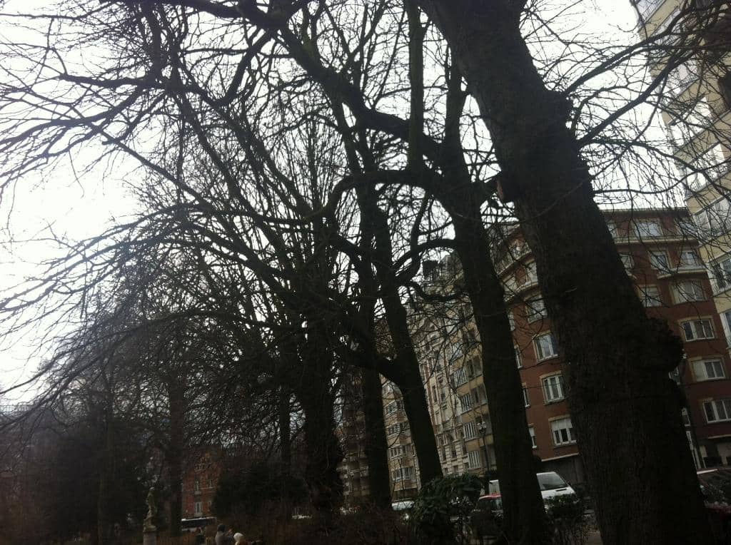 Vertical photo