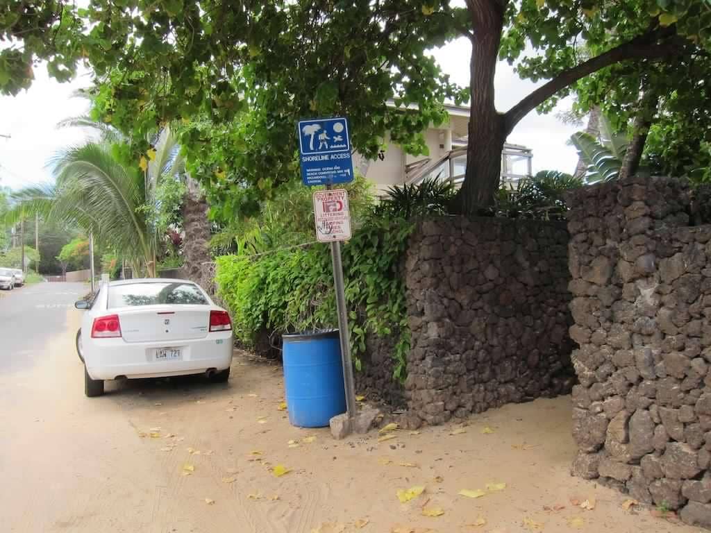 Tide Pool Exploration