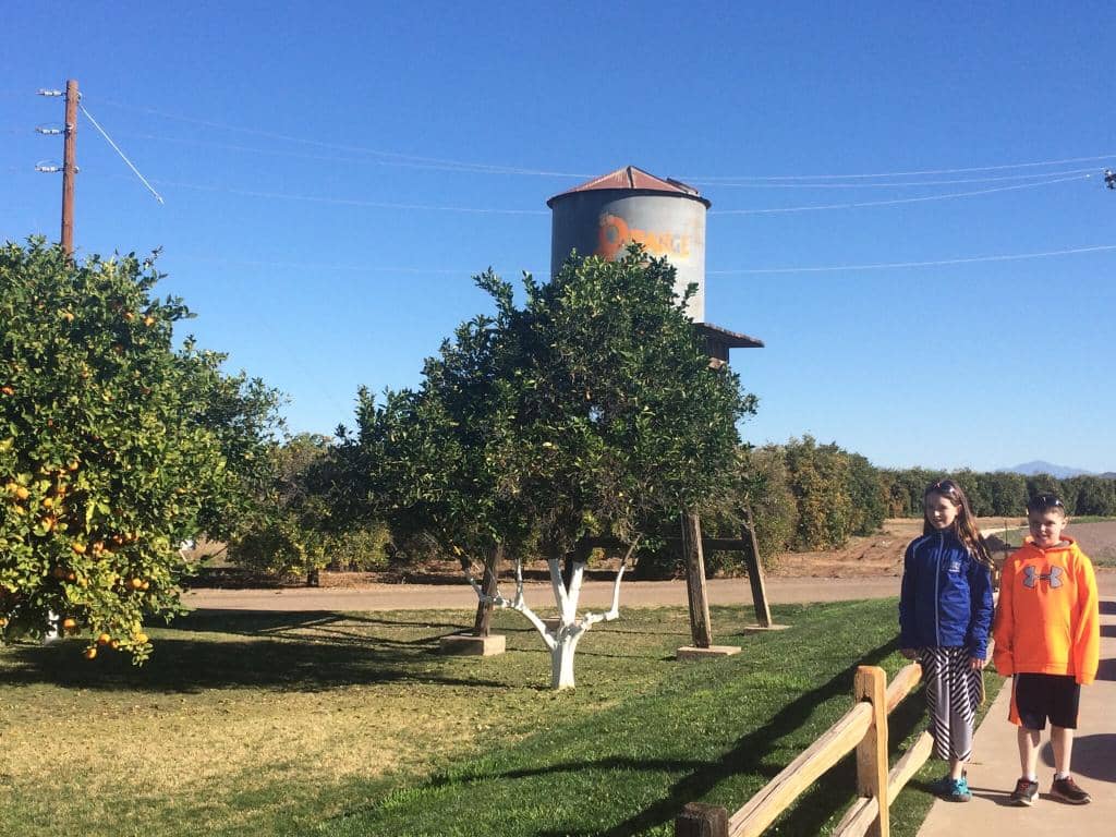 Artisanal Local Products