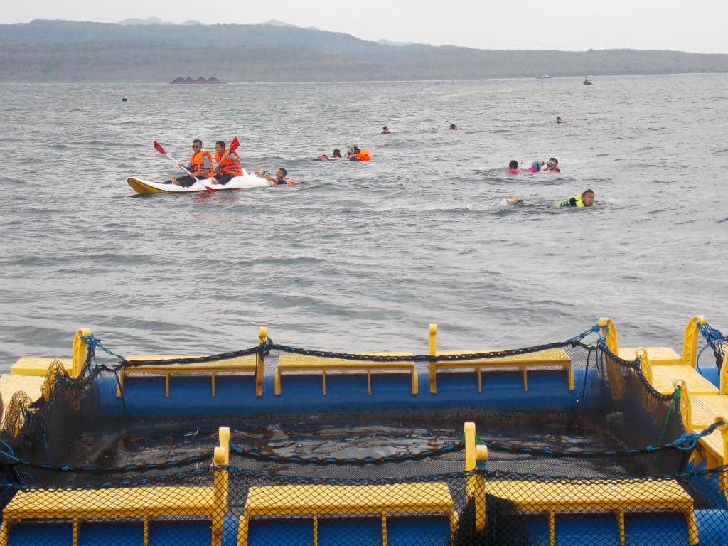 Shark Sanctuary