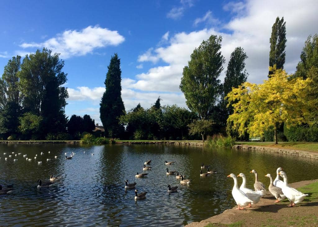 The Enchanting Lake