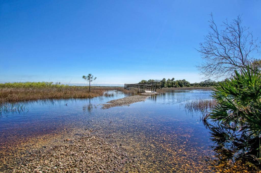 Tram and Twin Mills Trails