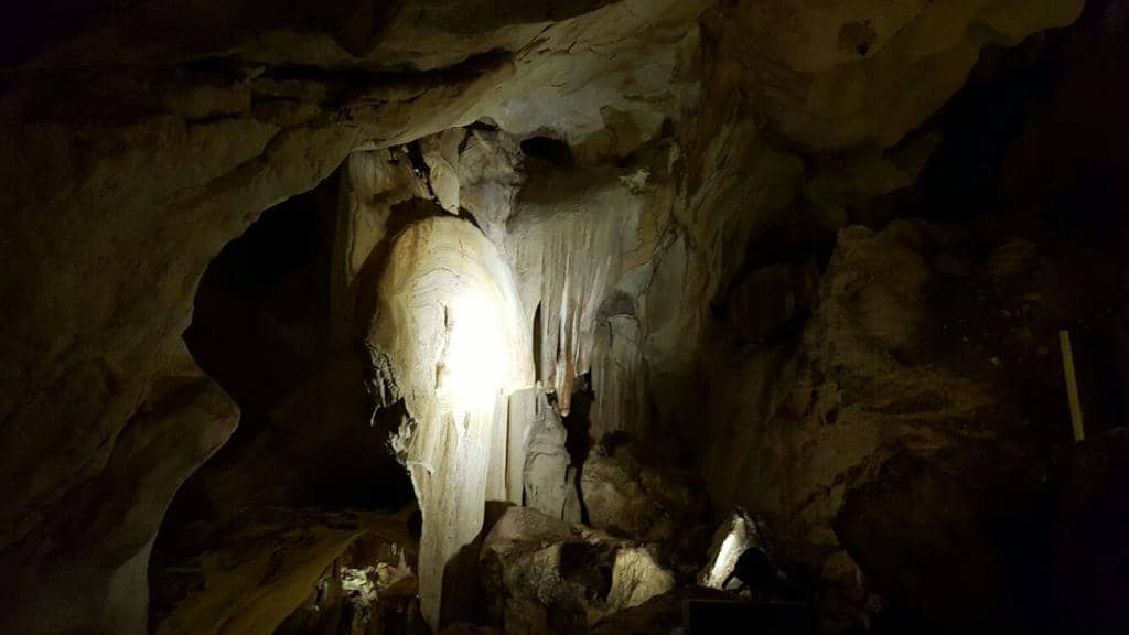 UV Mineral Experience