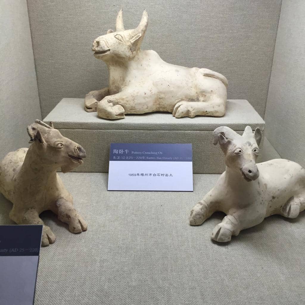 Ancient Porcelain Fragments