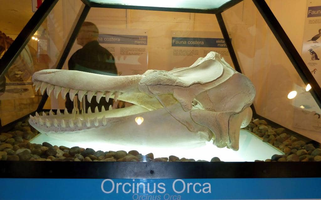 Helpful Visitor Services