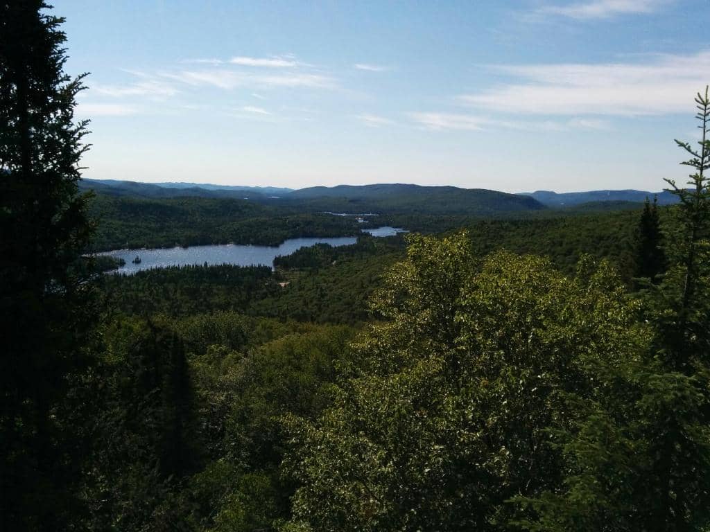 Ziptrek Eco-Tour