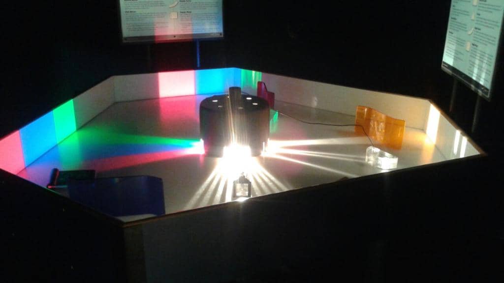 Permian Period Trackway