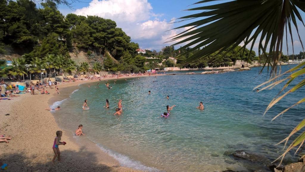 Palm-Dotted Terrace Views