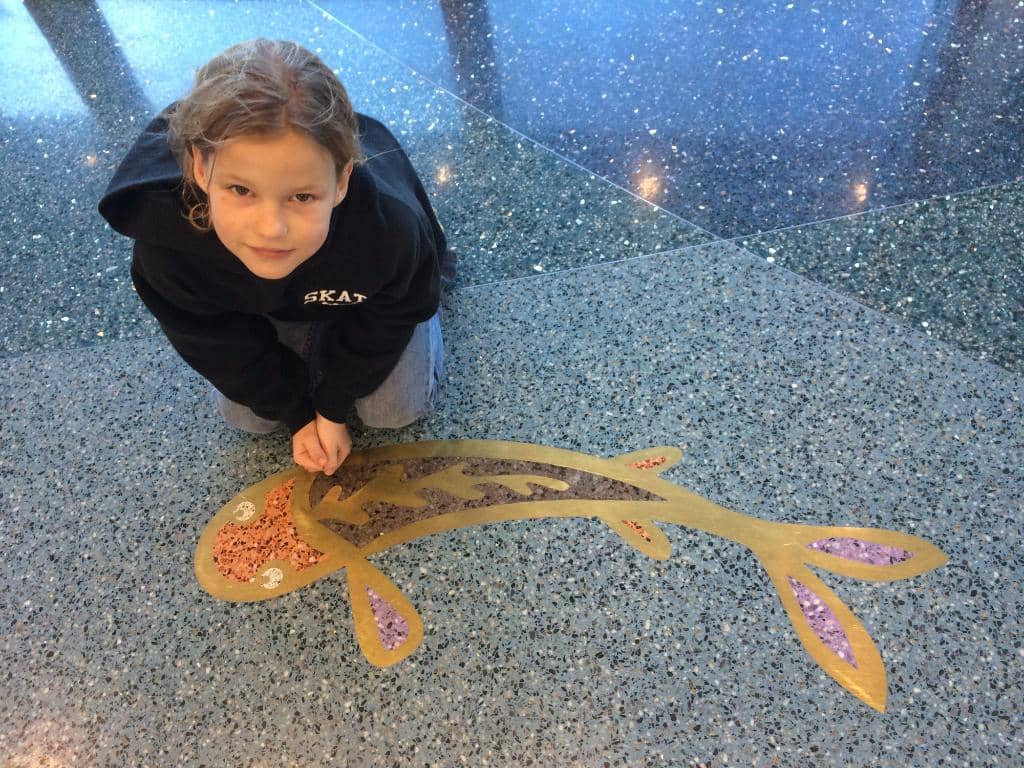 Special Events & Performances