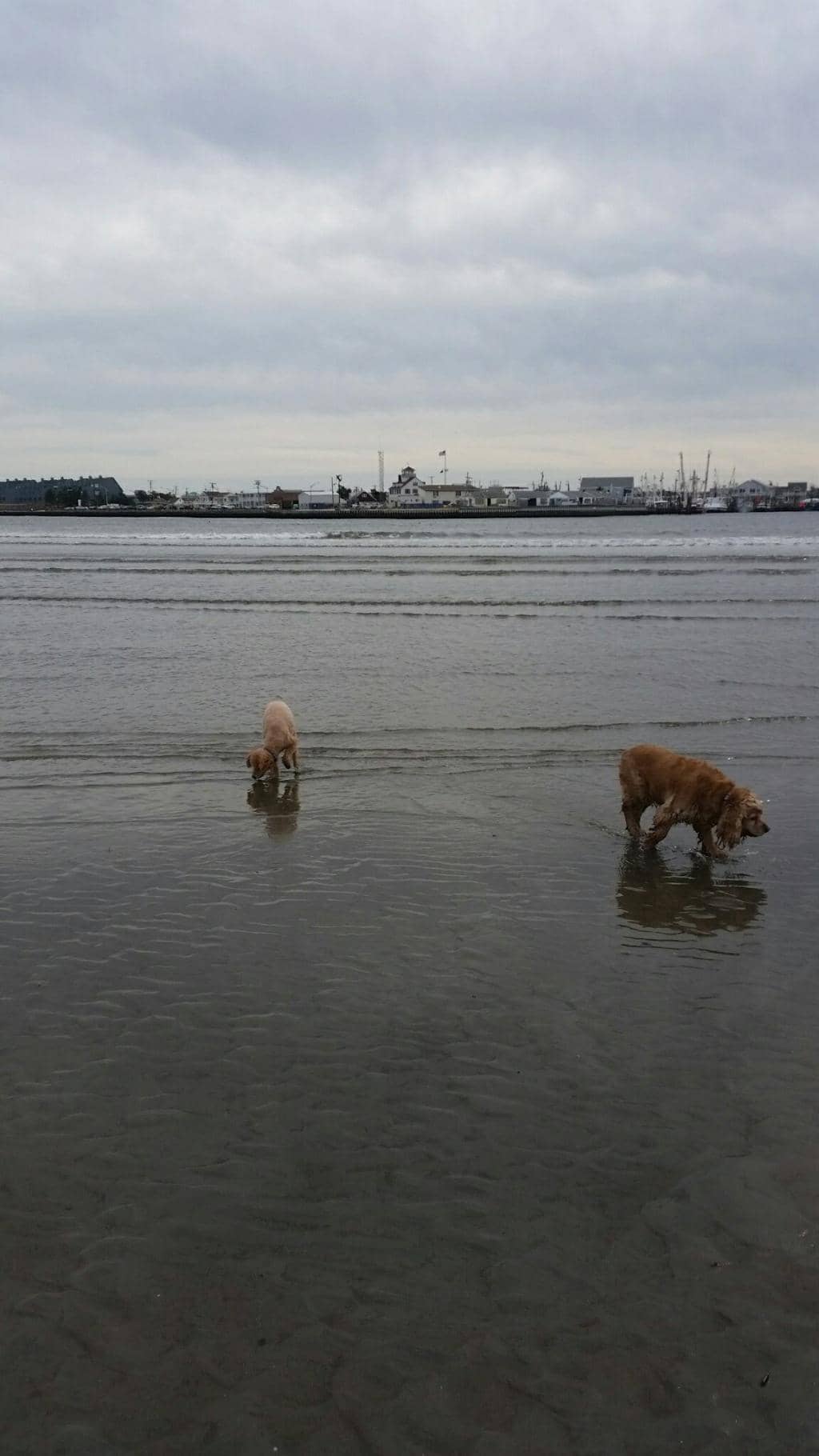 Scenic Bayfront Relaxation