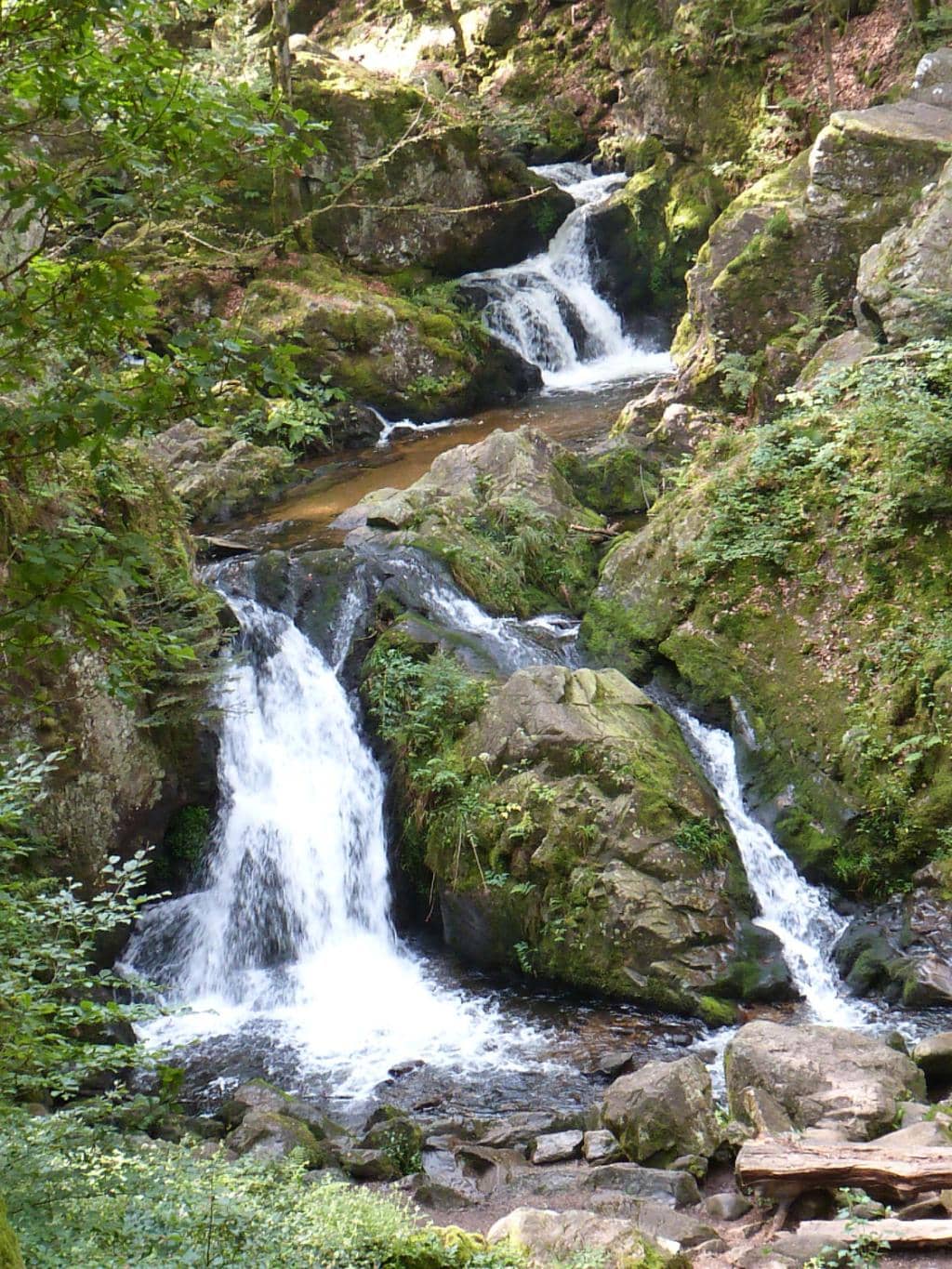 Vertical photo