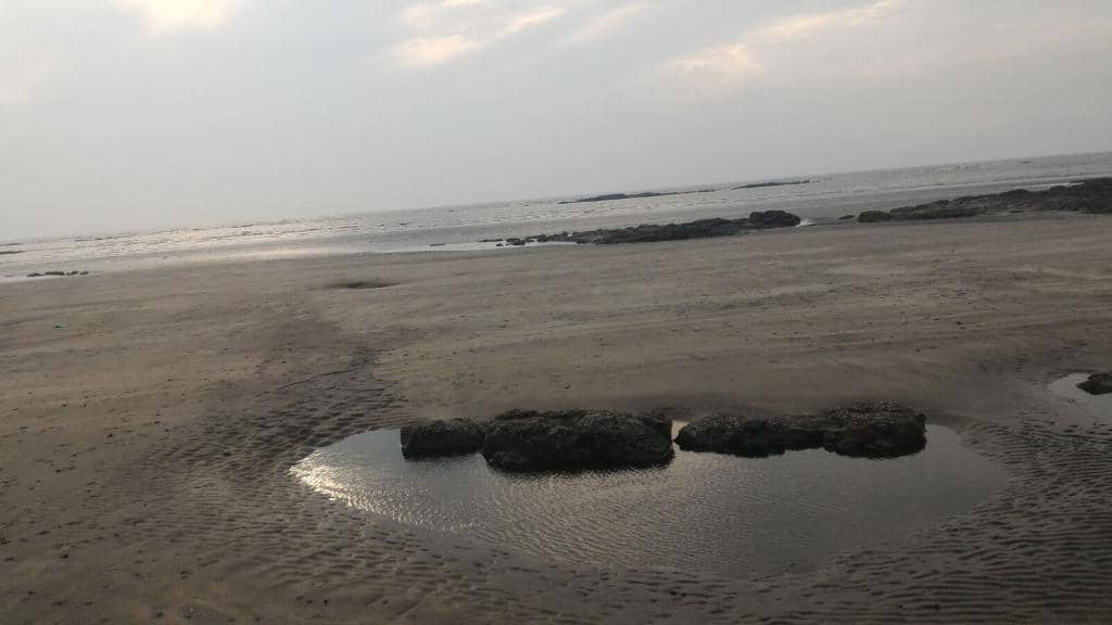 South Mumbai Skyline View