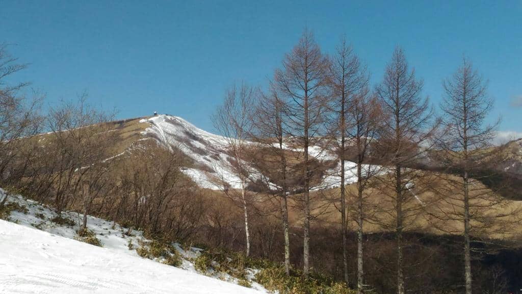 Scenic Lake Shirakaba Views