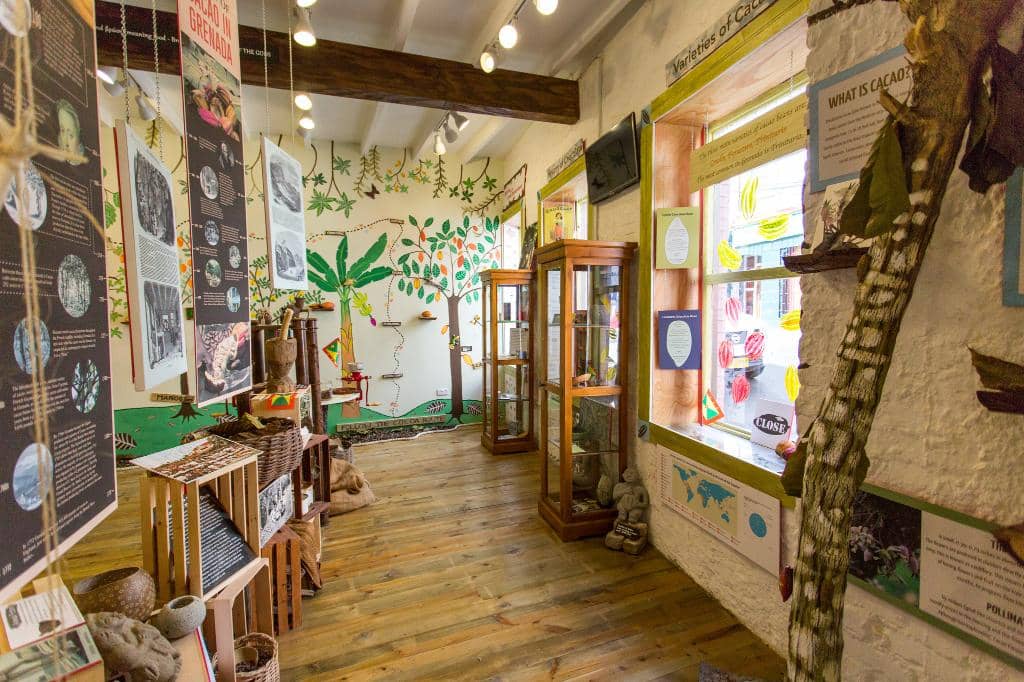 Cocoa Bean to Bar Education