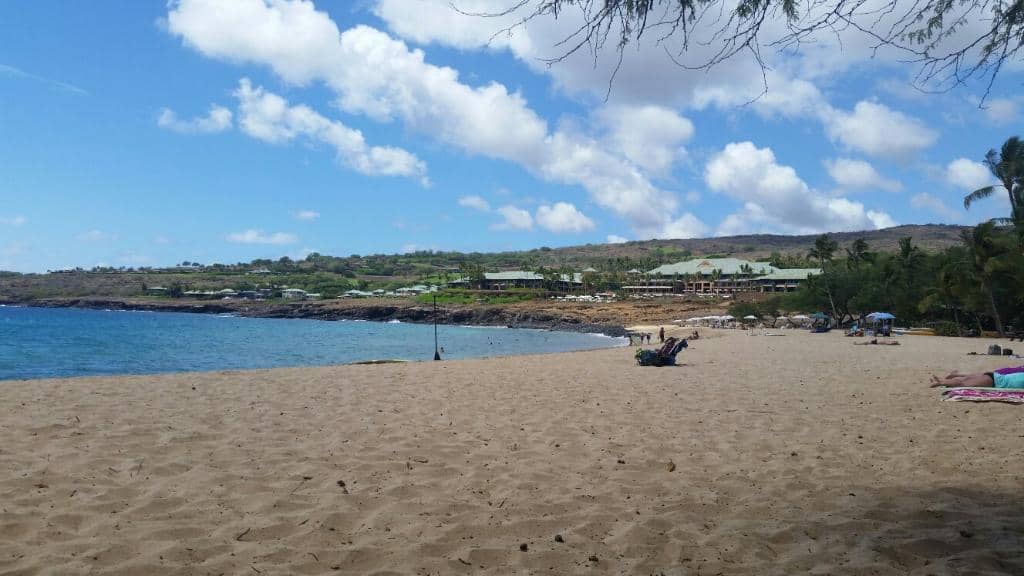 Scenic Coastal Walks