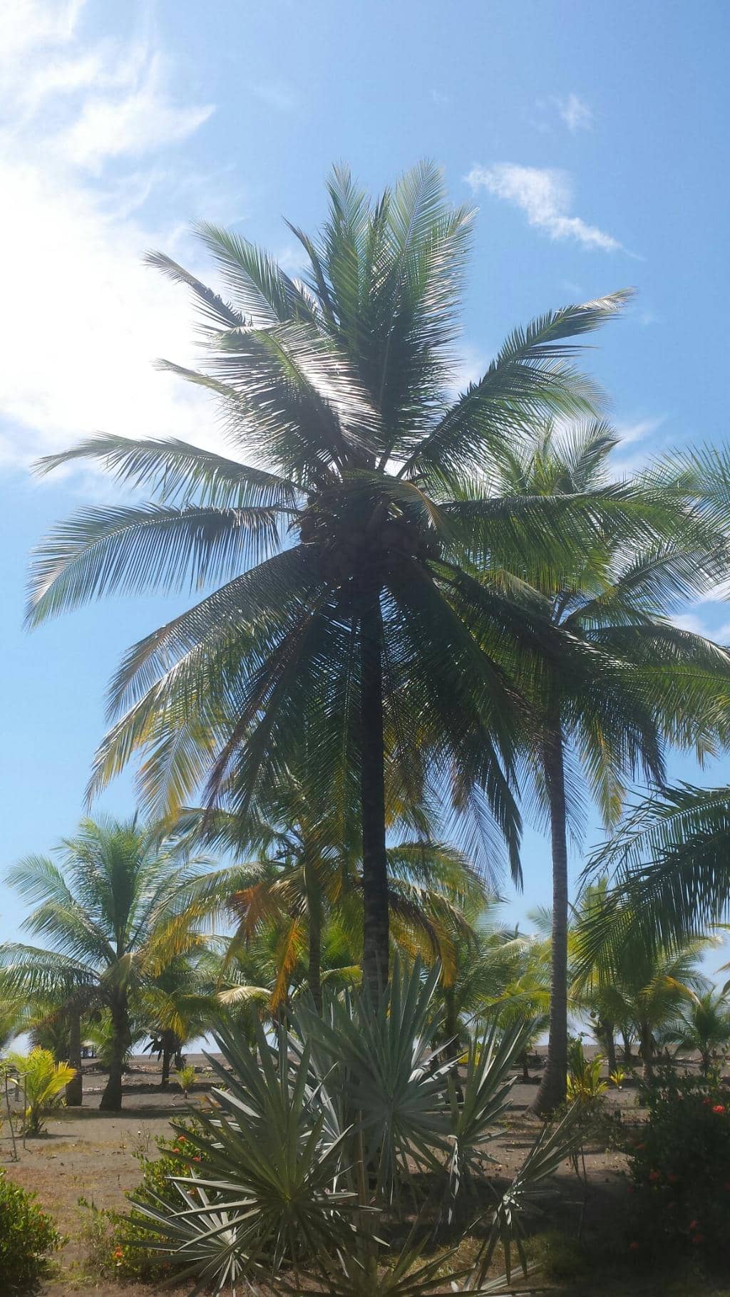 Vertical photo