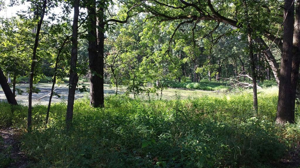 Waterfall Glen Main Trail