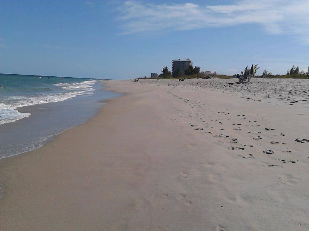 Snorkeling by the Jetty