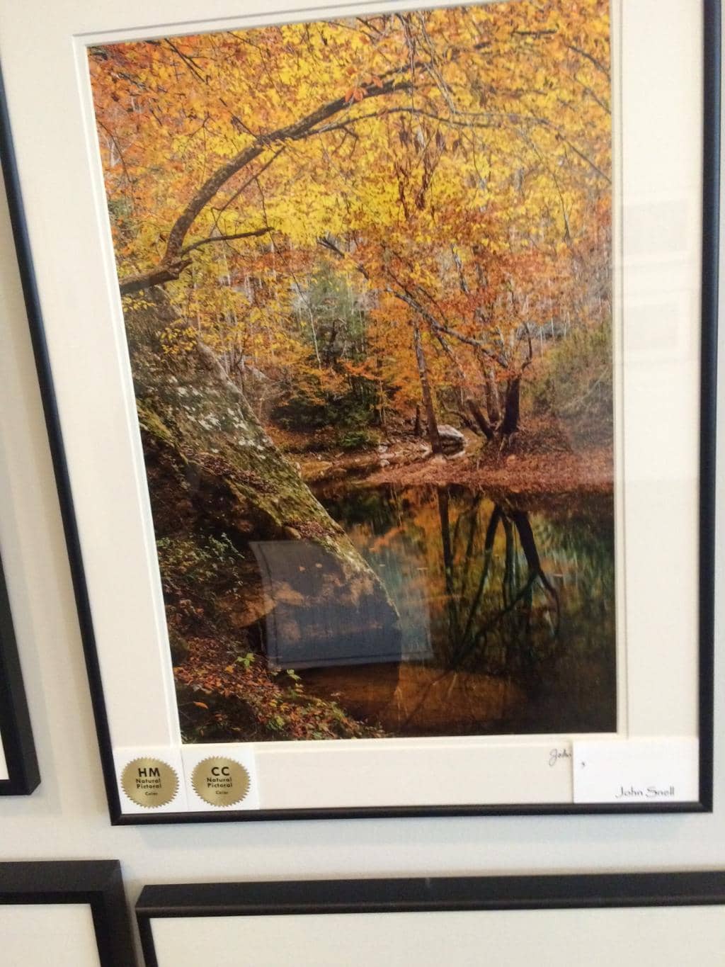 Children & Youth Gallery