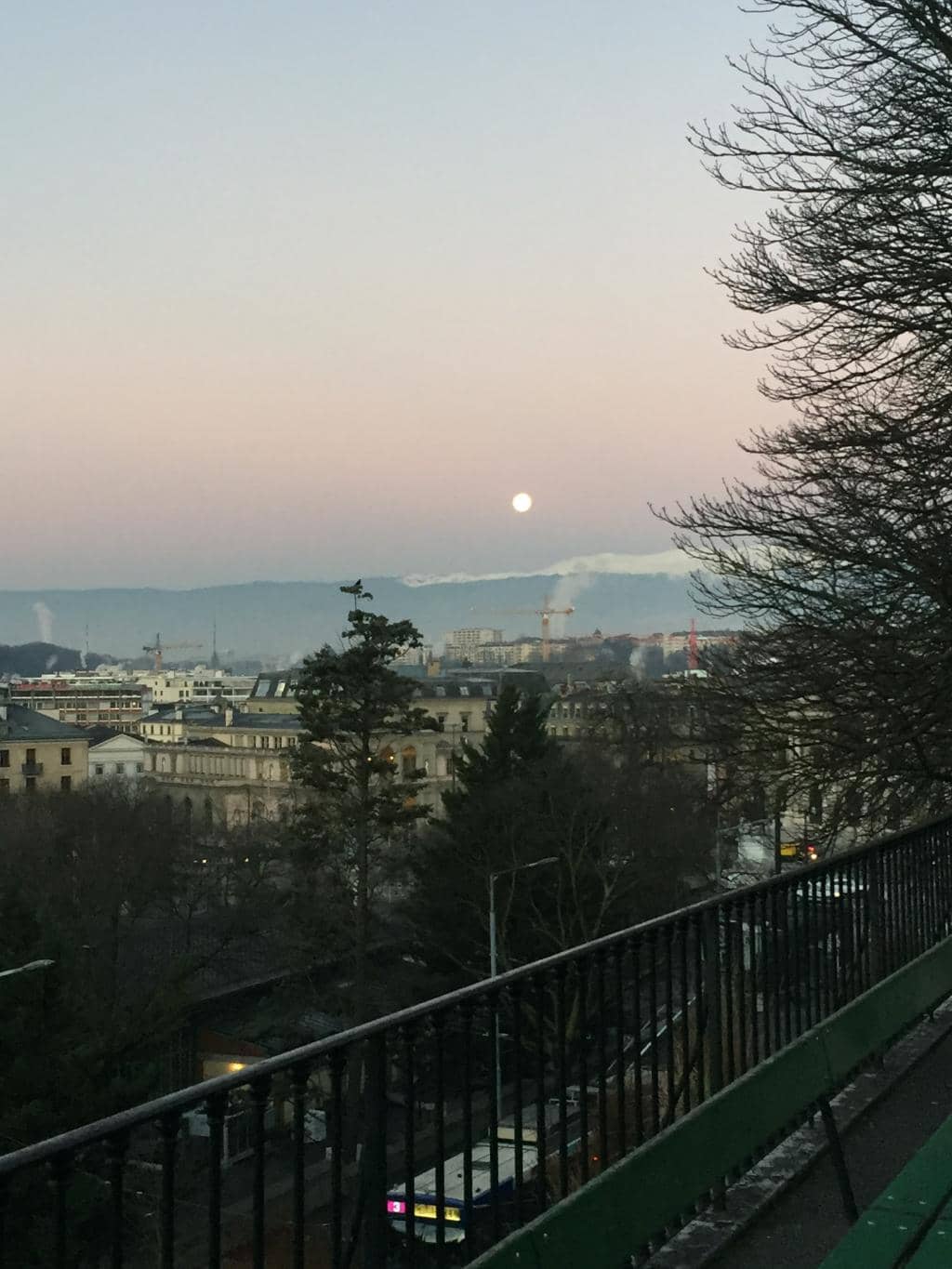 Panoramic City Views