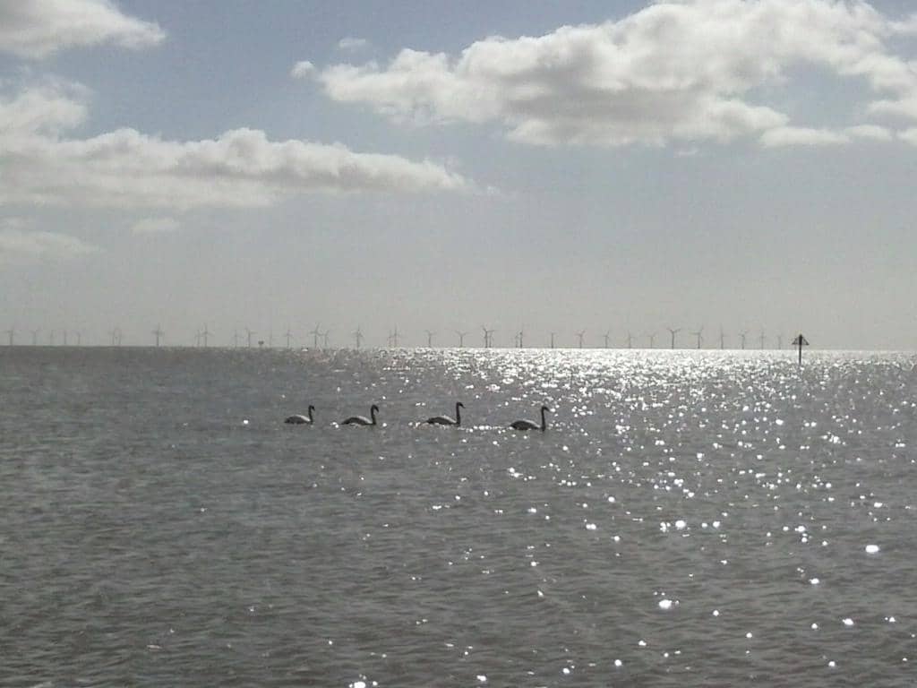 Coastal Path Exploration