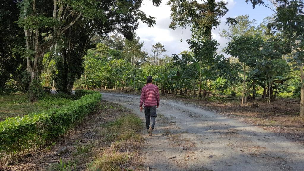 Birdwatching Opportunities