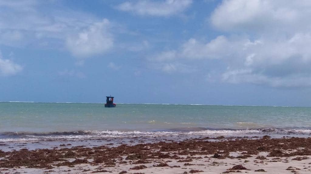 Kitesurfing & Windsurfing Hub