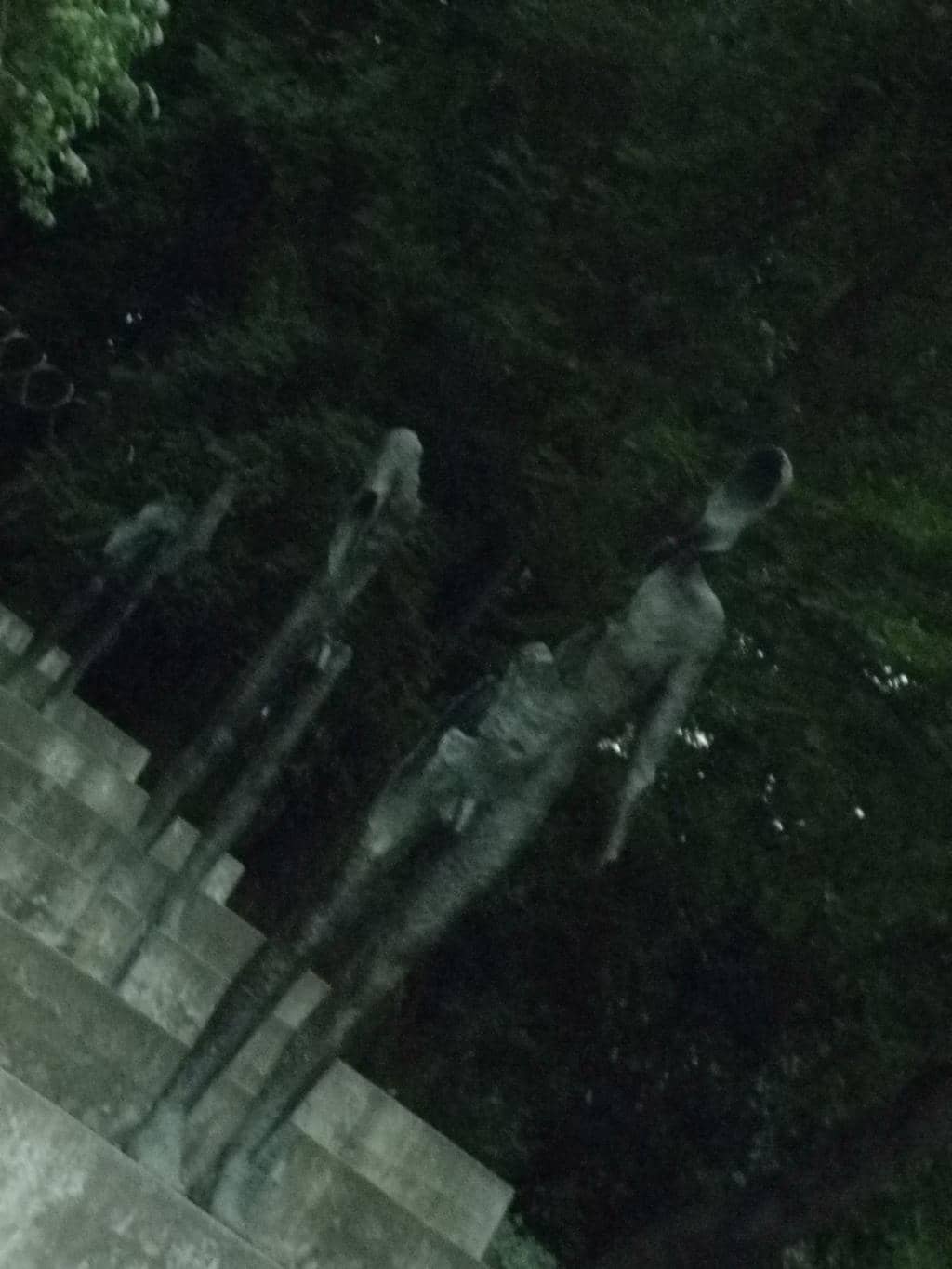 Vertical photo