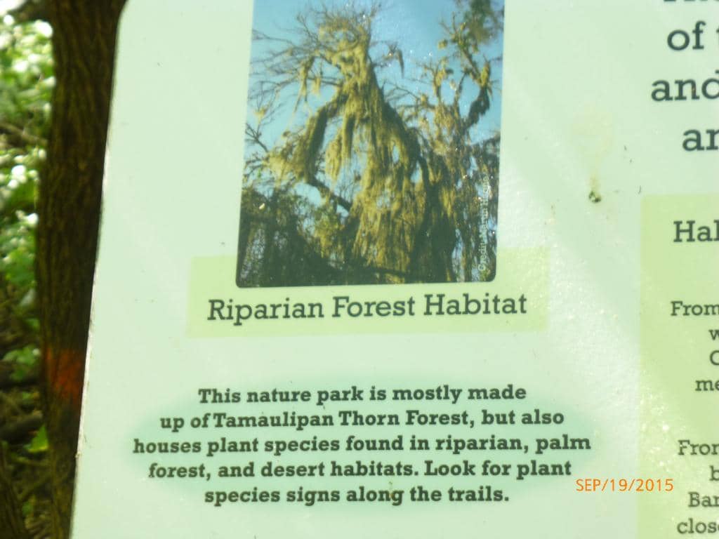 Indoor Reptile Exhibits