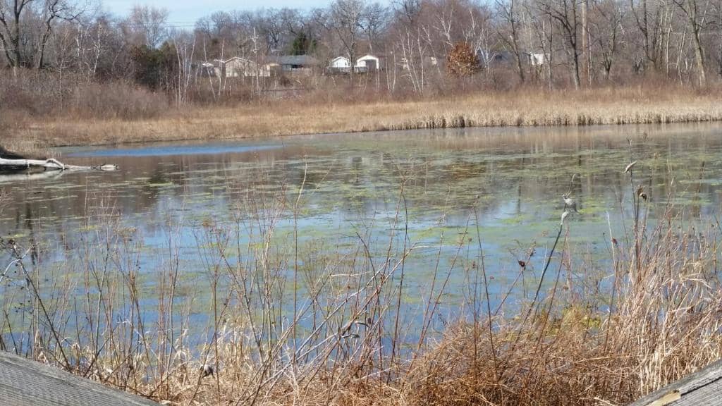 Sunrise Over Lake Michigan