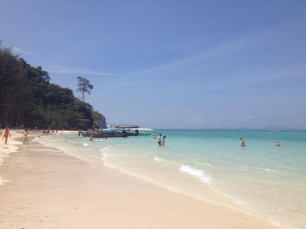Snorkeling Opportunities