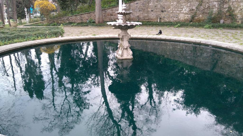Vertical photo