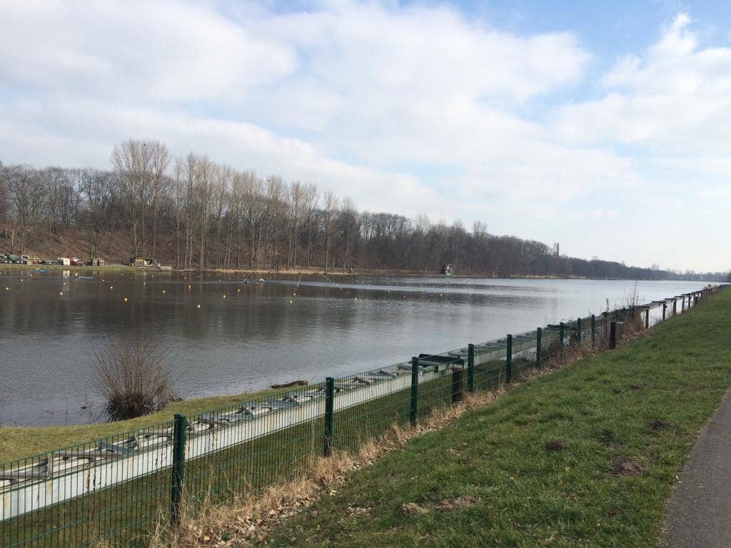 Lakeside Paths