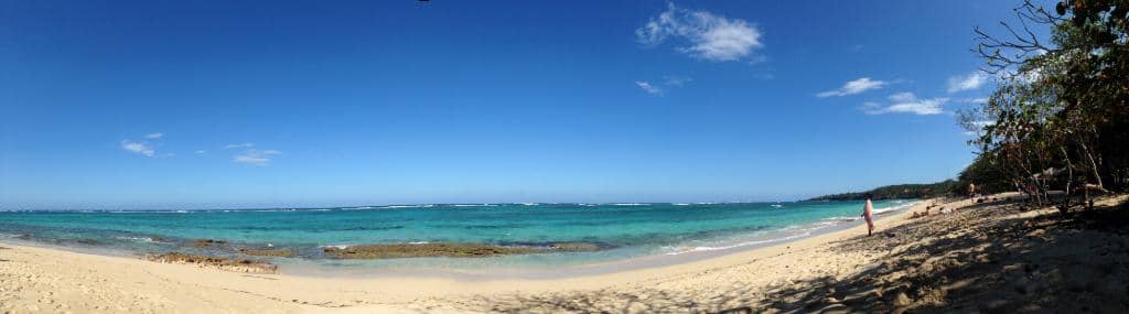 Local Paladar Delights