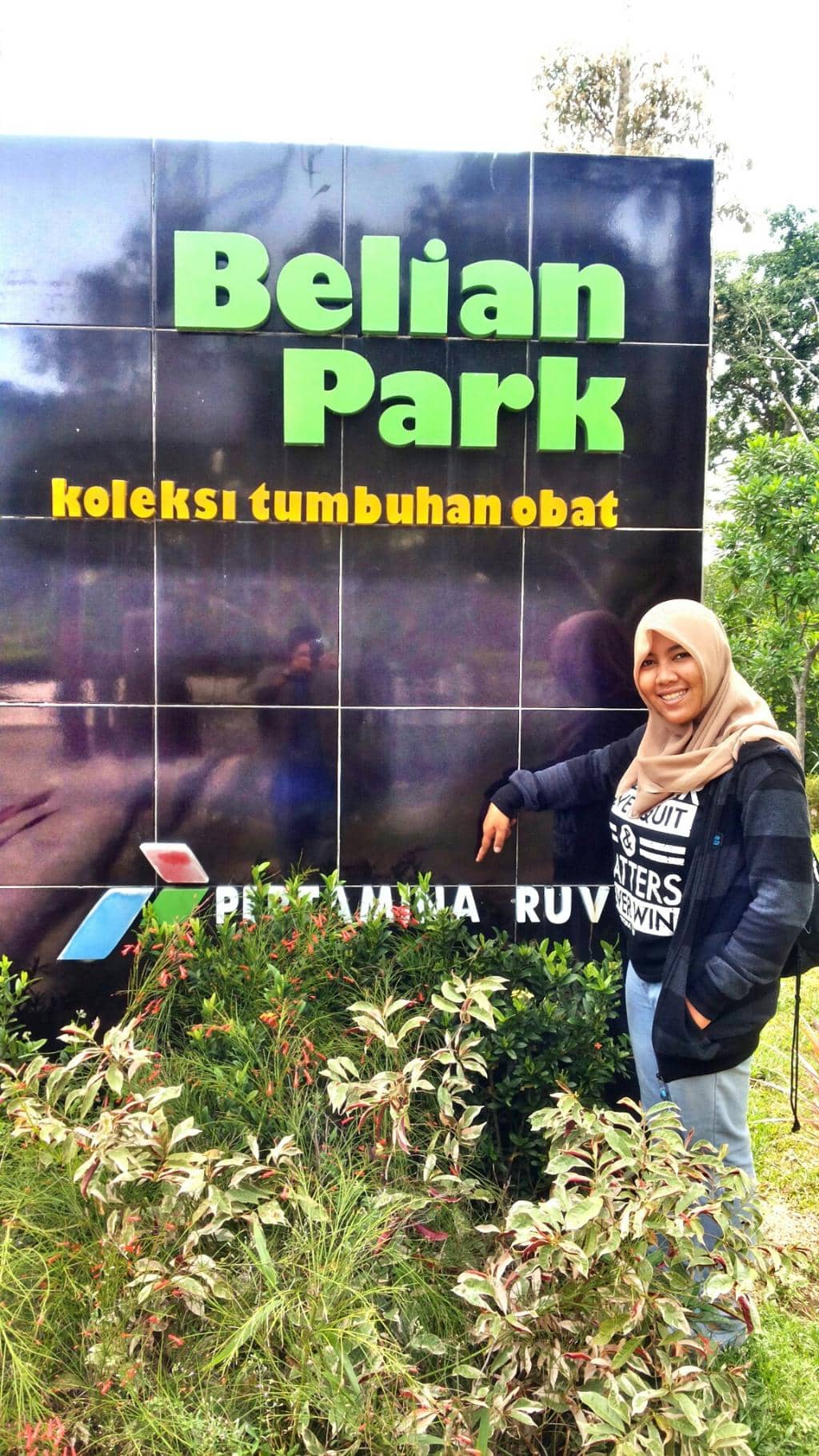 Playgrounds & Zipline Fun