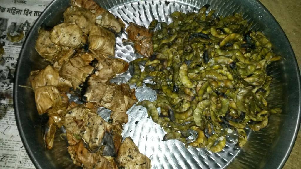 Birdwatcher's Paradise