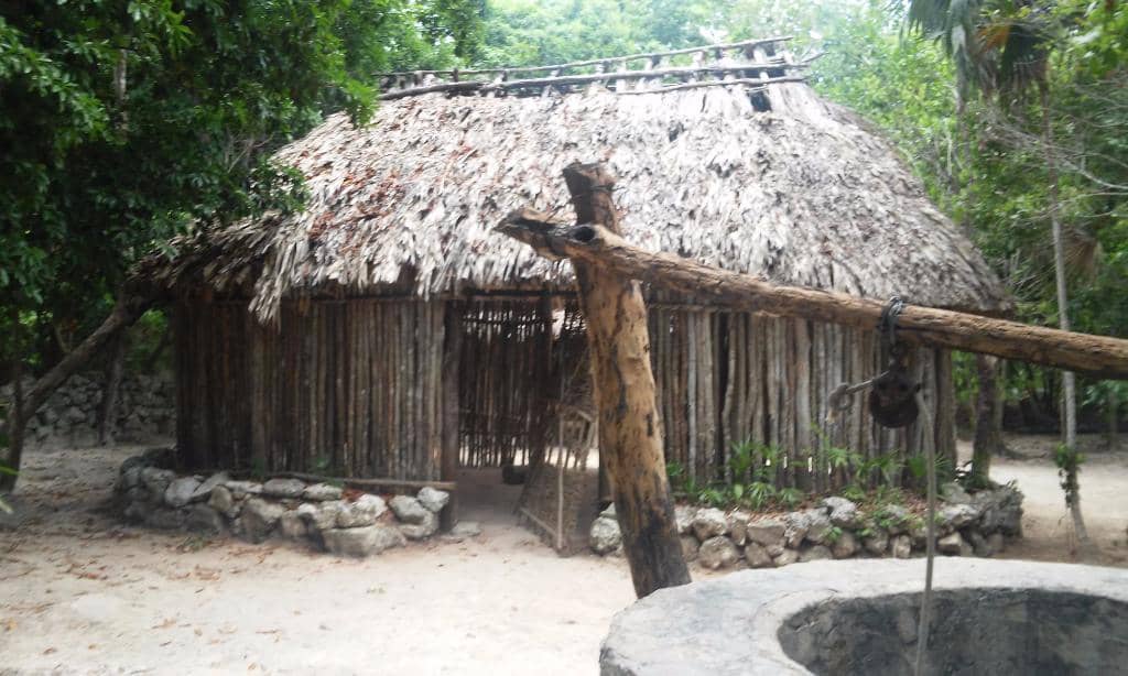 Lush Greenery & Wildlife