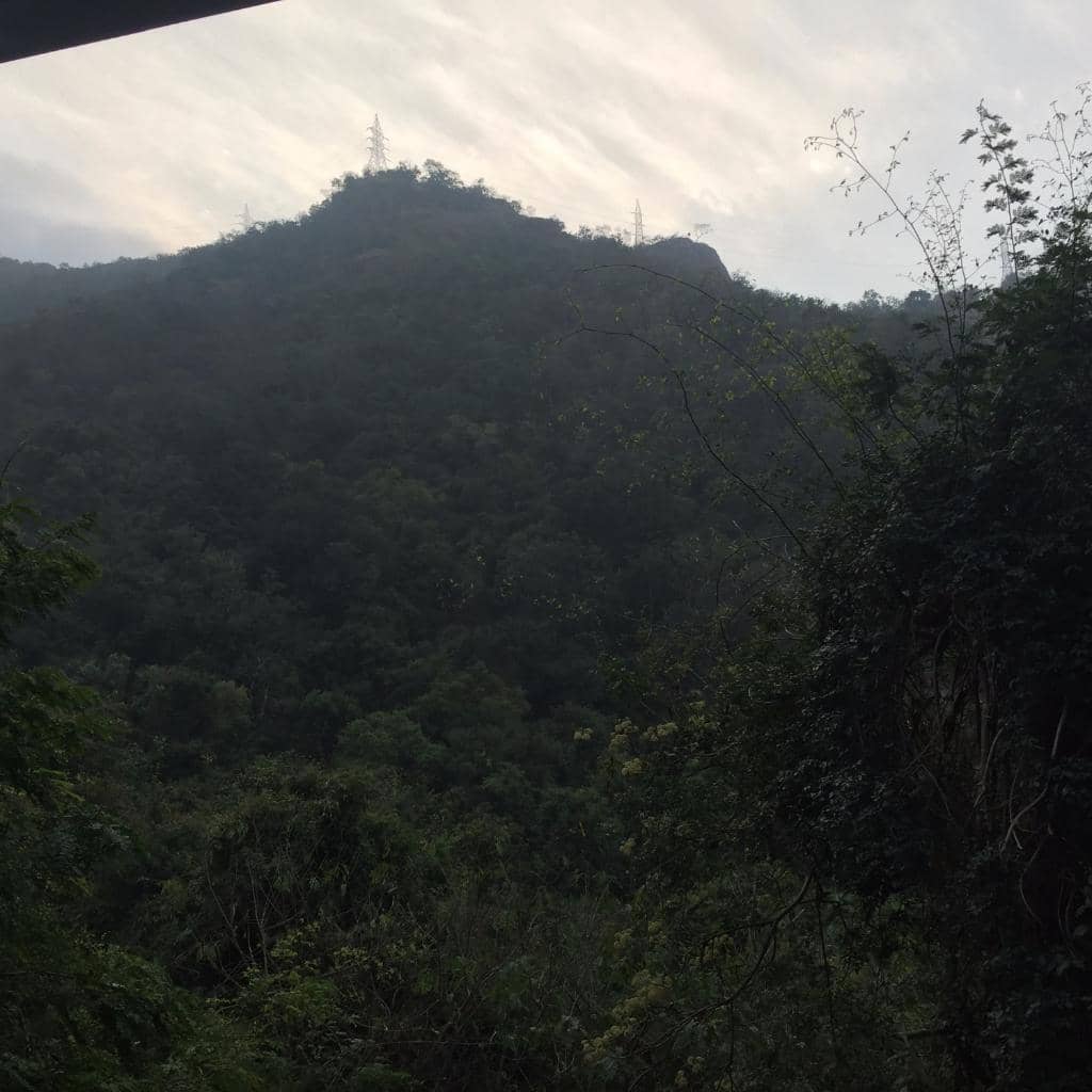 Vertical photo
