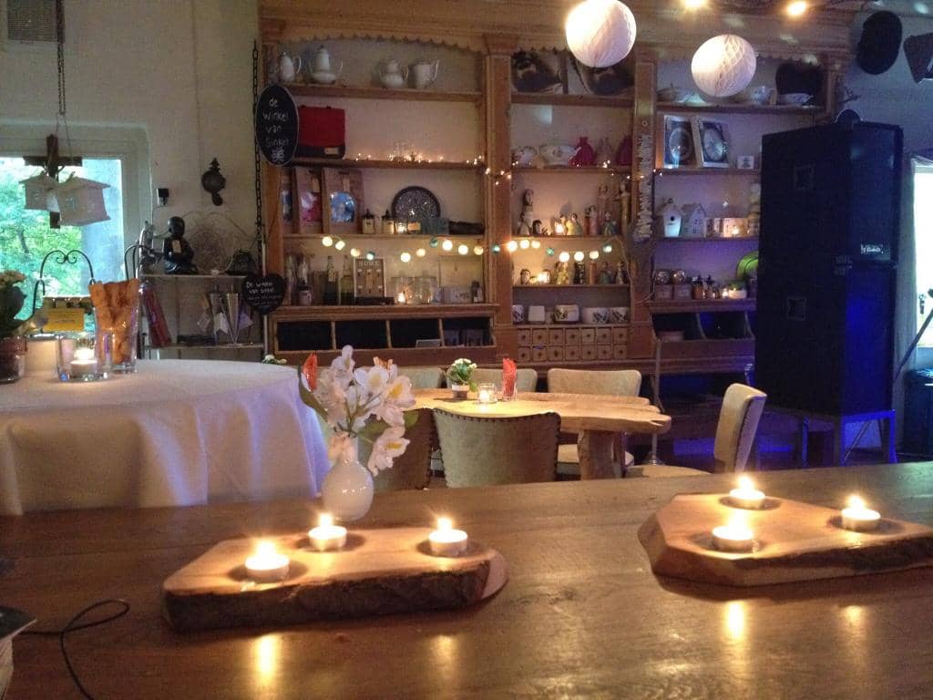 Plant Sprouts for Sale