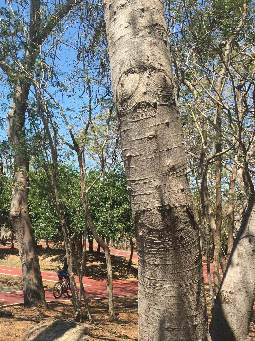 Vertical photo