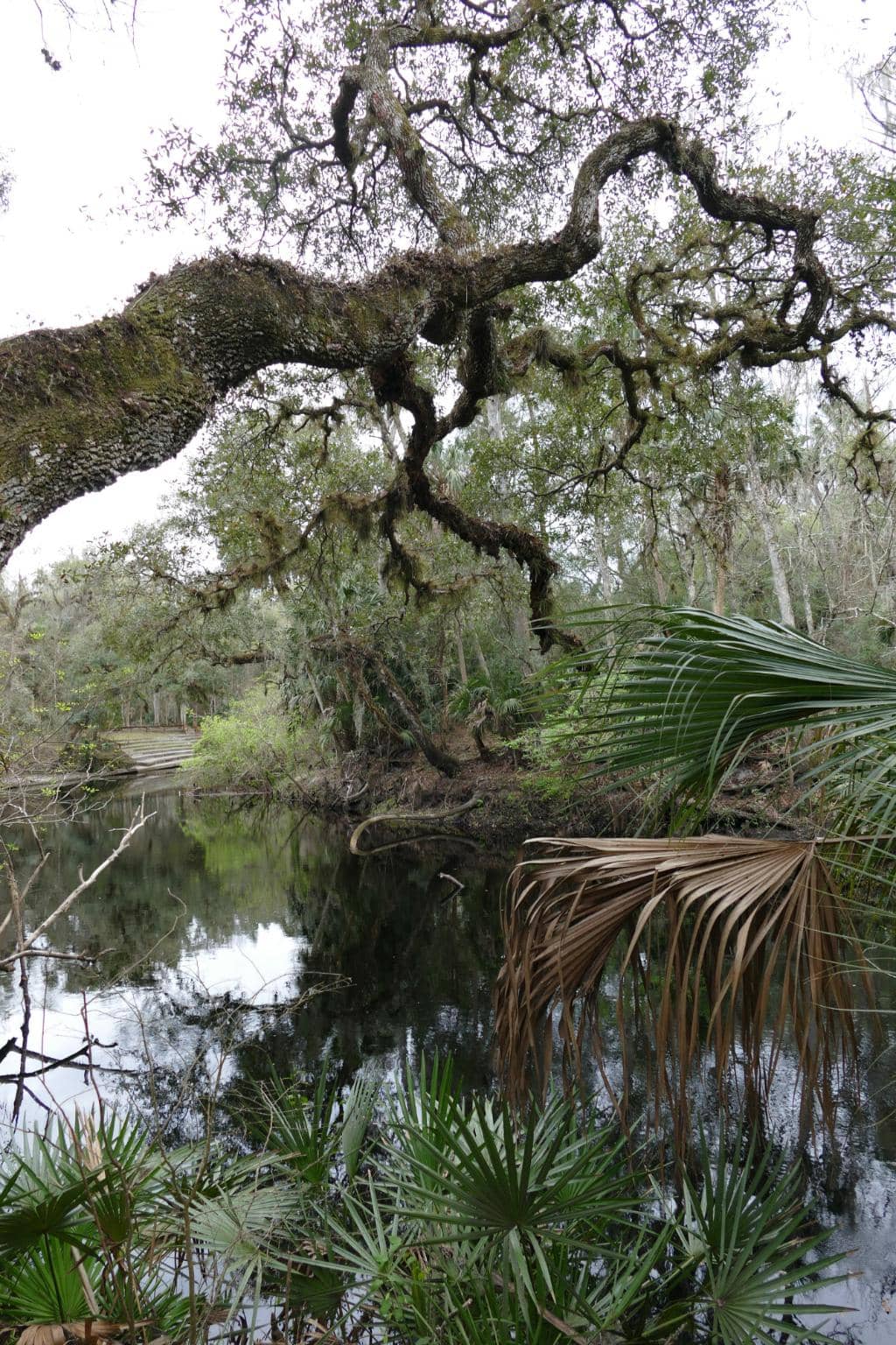 Historic Gun Emplacements
