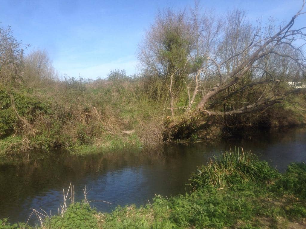 Stocker's Lake