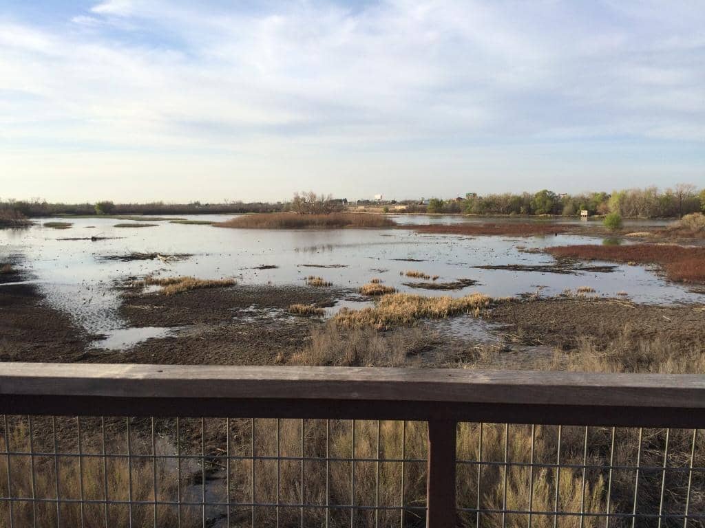 Bird Watching Blinds