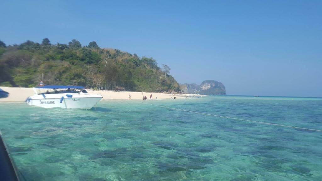 Tranquil Island Escape